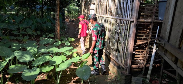 Babinsa Dukung Pemberantasan Sarang Nyamuk di Desa Binaan