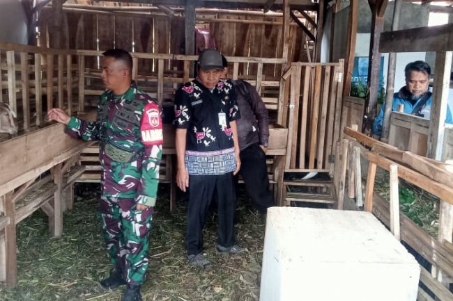 BABINSA MELAKSANAKAN PENGECEKAN TERNAK PADA WARGA BINAAN AGAR TERNAK TETAP SEHAT 